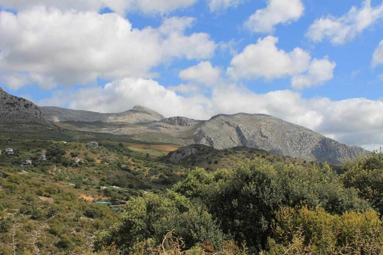 Casa Rural El Chaparro El Chorro Buitenkant foto