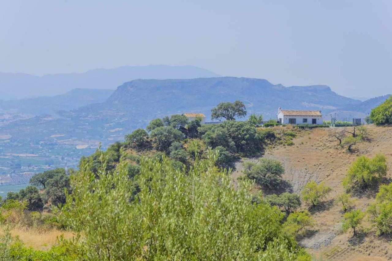 Casa Rural El Chaparro El Chorro Buitenkant foto